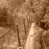 DSC00314